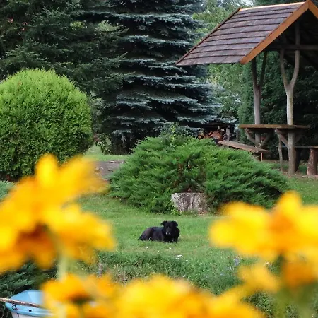 Hotel Gospodarstwo Agroturystyczne Zielone Wzgorze Budry